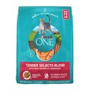 Purina ONE Tender Selects Blend with Real Salmon Natural Dry Cat Food, 22-lb bag