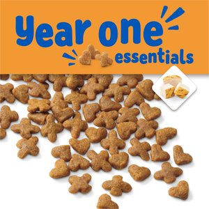 Kitten Chow Year One Essentials Nutrients with Real Chicken High-Protein Kitten Dry Cat Food, 6.3-lb bag