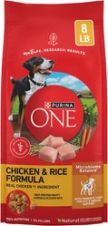 Purina ONE Chicken & Rice Formula High-Protein Dry Dog Food, 8-lb bag