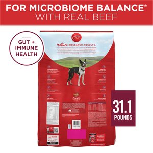 Purina ONE Natural Small Bites Beef & Rice Formula High-Protein Dog Food, 31.1-lb bag