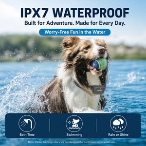 PATPET 2000-ft Waterproof & Adjustable Dog Training Collar, 9.8-25-in, Blue