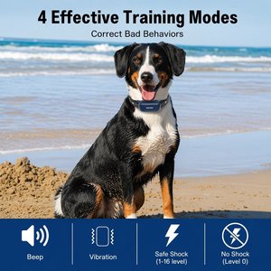 PATPET 2000-ft Waterproof & Adjustable Dog Training Collar, 9.8-25-in, Blue
