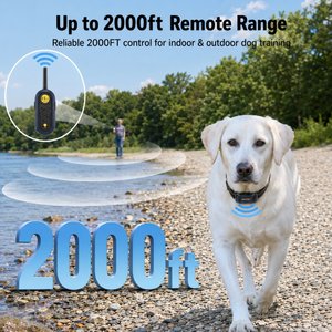 PATPET 2000-ft Waterproof & Adjustable Dog Training Collar, 9.8-25-in, Blue