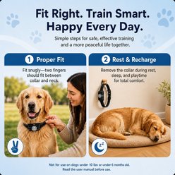 PATPET P650 Remote Dog Training Collar, White, 1 count slide 2 of 8