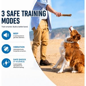PATPET P650 Remote Dog Training Collar, White, 1 count