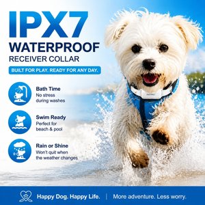 PATPET P650 Remote Dog Training Collar, White, 1 count