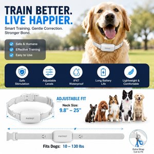 PATPET P650 Remote Dog Training Collar, White, 1 count