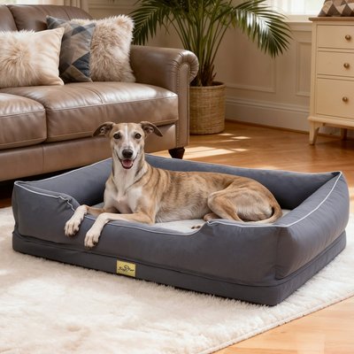 BingoPaw BingoPaw Orthopedic Bolster Dog Bed, Grey, XX-Large