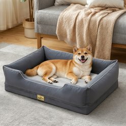 BingoPaw Orthopedic Bolster Dog Bed, Grey, Large