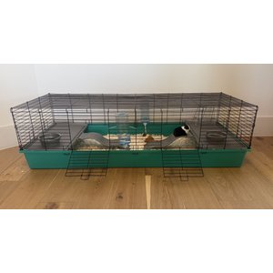 Zylina Healthy Habitat Smallpet Cage with Deluxe Kit, Teal/Black, 24 x 60-in