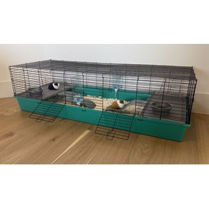 Zylina Healthy Habitat Smallpet Cage with Deluxe Kit, Teal/Black, 24 x 60-in