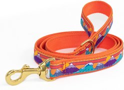 Up Country Ski & Surf Dog Leash, 5-ft long, 1-in wide