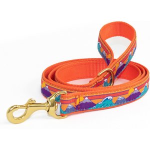 Up Country Ski & Surf Dog Leash, 5-ft long, 5/8-in wide