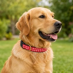 Up Country Gingham Adjustable Dog Collar, Red, Small: 15-in neck, 5/8-in wide slide 2 of 5