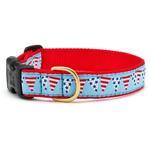 Up Country Party In The USA Adjustable Dog Collar, Small: 15-in neck, 5/8-in wide