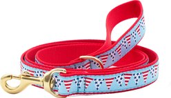 Up Country Party In The USA Dog Leash, 5-ft long, 1-in wide