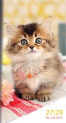 2027-2028 Kitten Small Monthly Pocket Planner slide 1 of 8