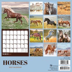 2027 Horses Mini Calendar slide 2 of 6