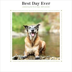 2027 Best Day Ever: Dogs Mini Calendar