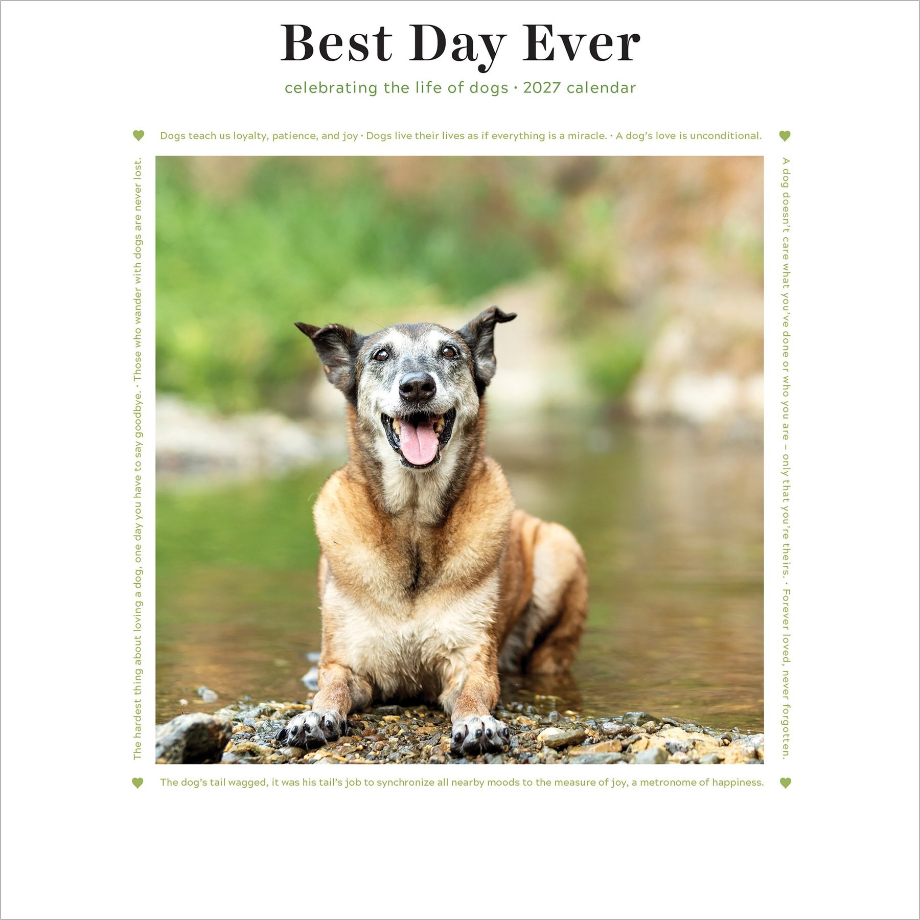 2027 Best Day Ever: Dogs Mini Calendar