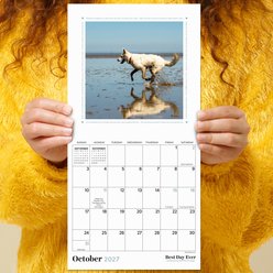 2027 Best Day Ever: Dogs Mini Calendar slide 2 of 6