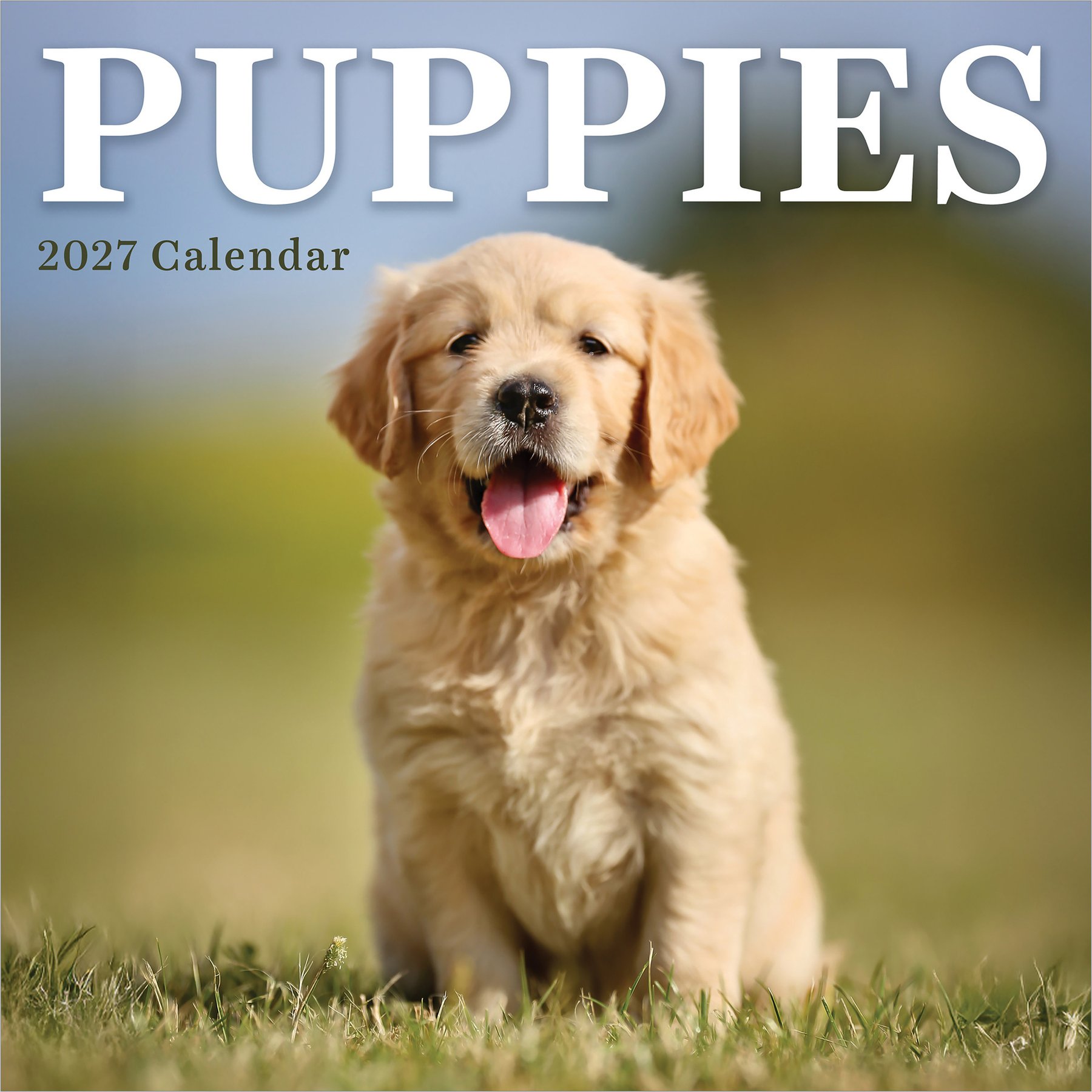2027 Puppies Mini Calendar