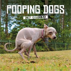 2027 Pooping Dogs Wall Calendar