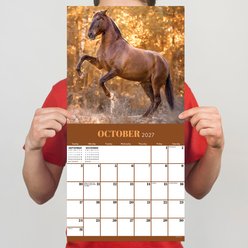 2027 Horses Wall Calendar slide 2 of 6