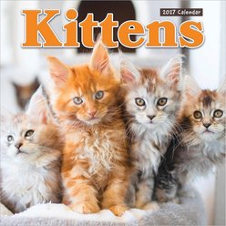 2027 Kittens Wall Calendar