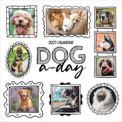 2027 Dog-A-Day Wall Calendar
