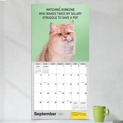 2027 Corporate Cats Wall Calendar slide 2 of 6