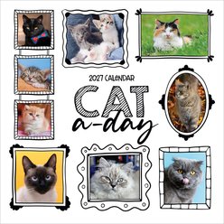 2027 Cat-A-Day Wall Calendar
