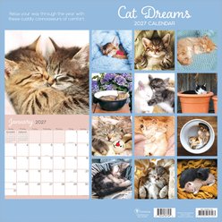 2027 Cat Dreams Wall Calendar slide 2 of 6