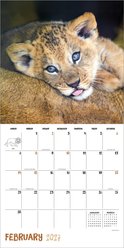 2027 Baby Animals Wall Calendar slide 2 of 6