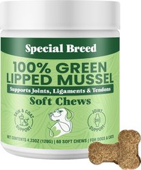 Special Breed Green Lipped Mussel Natural Hip & Joint Soft Chew Supplement for Dogs & Cats, 60 count