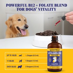 Special Breed Immune Support Chicken Flavored Liquid Vitamins for Dogs, 4-fl oz slide 2 of 7