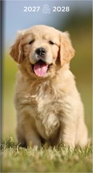 2027-2028 Dog Small Monthly Pocket Planner