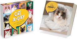 2027 Cat A Day Daily Desktop Calendar