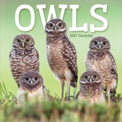 2027 Owls Wall Calendar