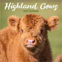 2027 Highland Cows Wall Calendar