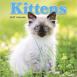 2027 Kittens Mini Calendar