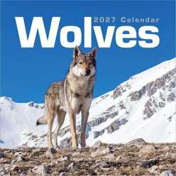 2027 Wolves Wall Calendar