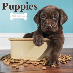 2027 Puppies Wall Calendar