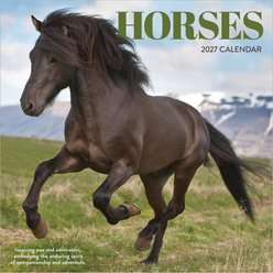 2027 Horses Wall Calendar