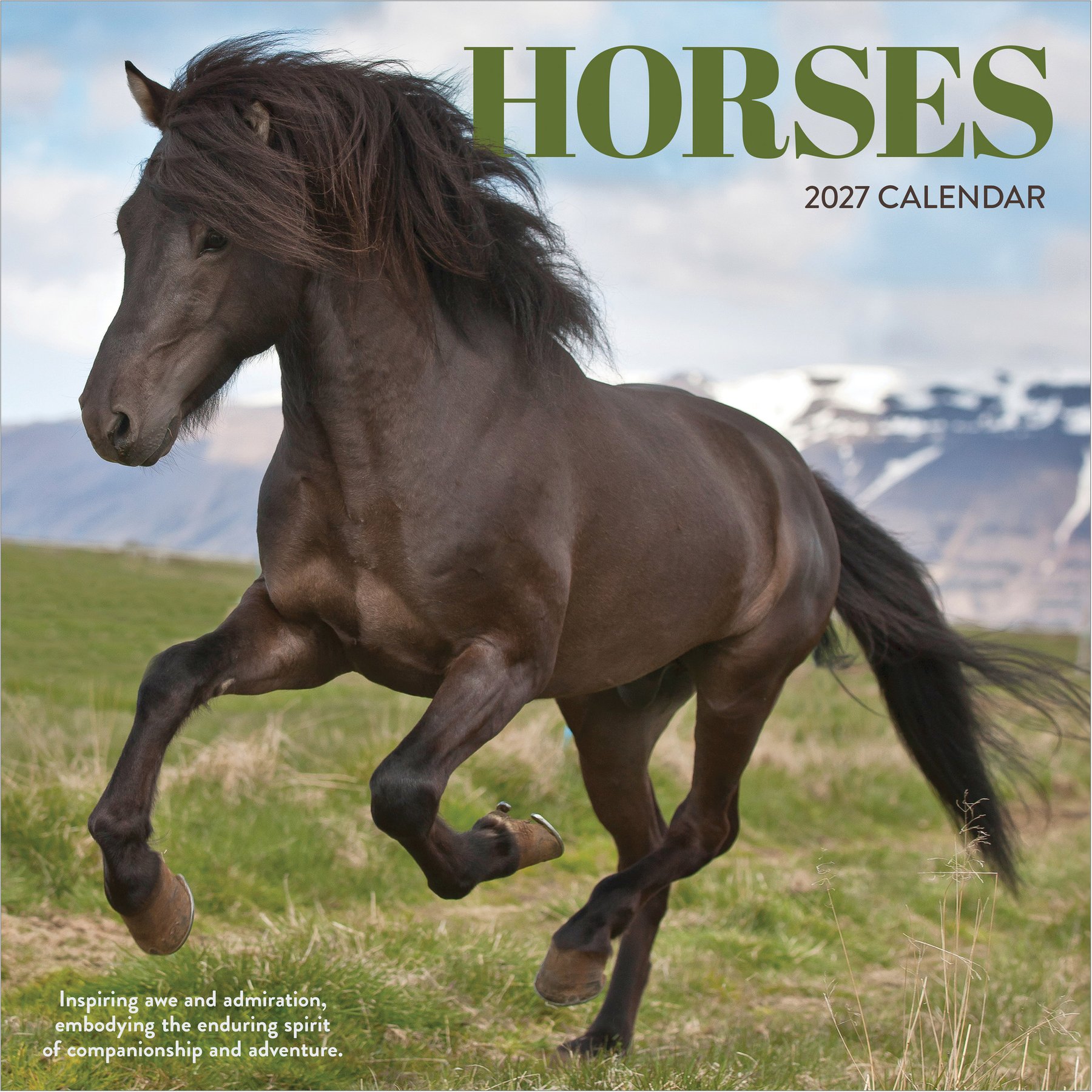 2027 Horses Wall Calendar