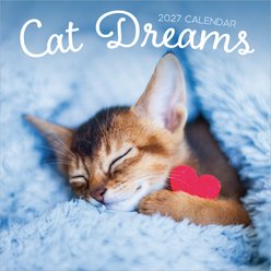 2027 Cat Dreams Wall Calendar