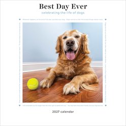 2027 Best Day Ever: Celebrating The Life of Dogs Wall Calendar