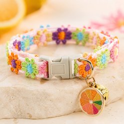 NonoPets Embroidered Floral Orange Dog & Cat Collar with Safety Buckle & Bell, 11.8-in neck, 1/2-in wide
