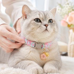 NonoPets Embroidered Floral Dog & Cat Collar with Safety Buckle & Bell, 11.8-in neck, 1/2-in wide slide 2 of 9
