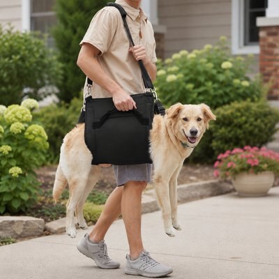 NonoPets NonoPets Dog Lift Harness & Carry Sling, Black, Medium